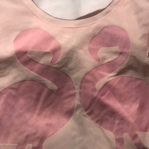 ZARA Flamingo Bodysuit Pink Sheer Mesh - Picture 3 of 6